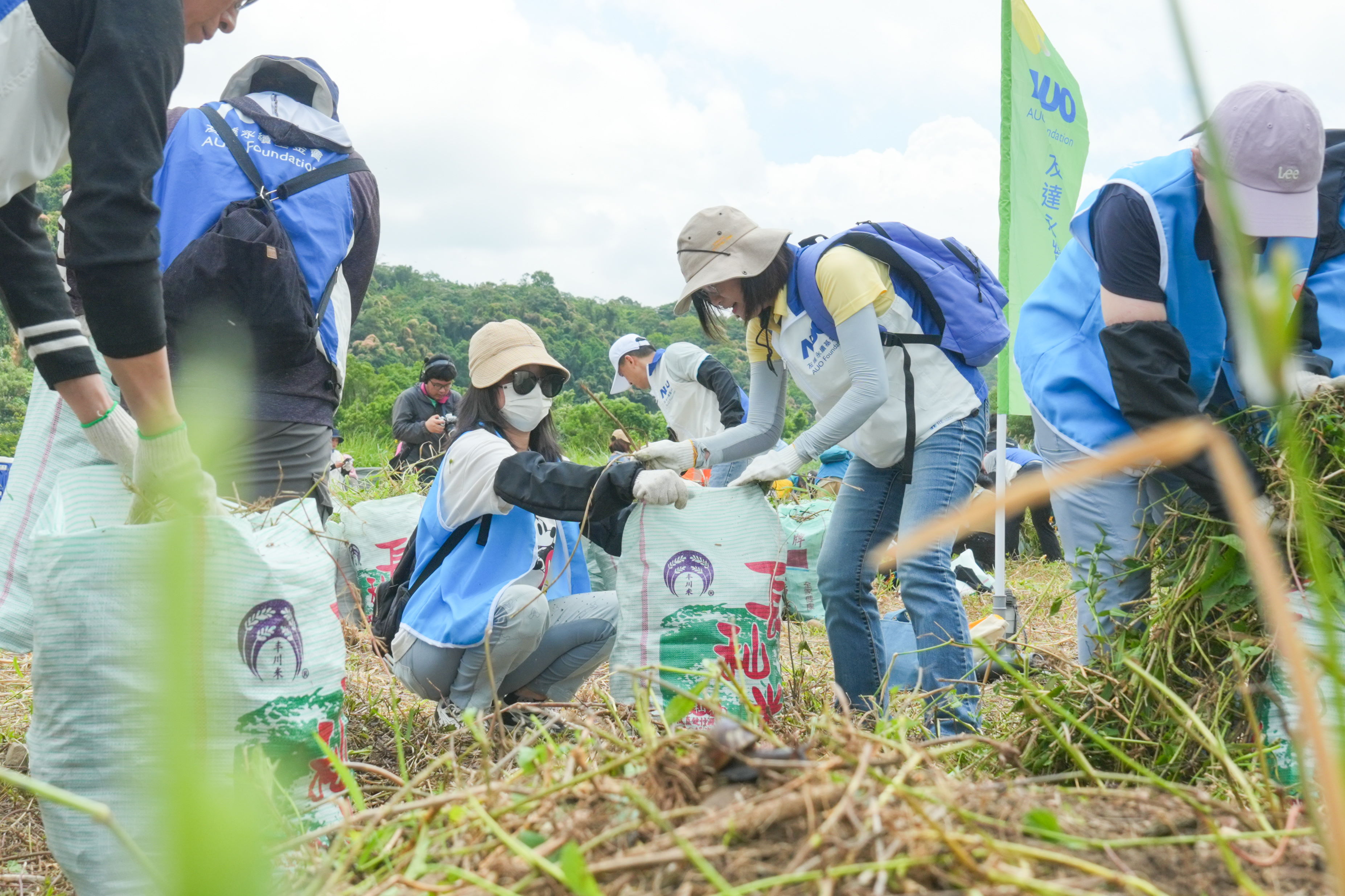 友達(dá)除蔓防治計(jì)畫 ，除了鎖定霄裡溪沿岸3.2公里移除外來入侵種小花蔓澤蘭  ，並進(jìn)行物種與空拍調(diào)查，共記錄91科181屬239種維管束植物 ，顯示該區(qū)域具高度生態(tài)價(jià)值